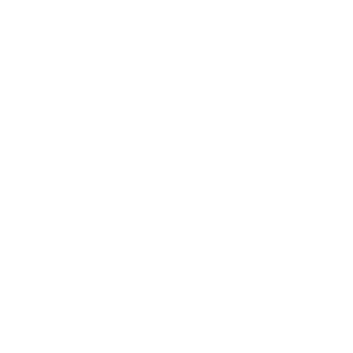 ST Store